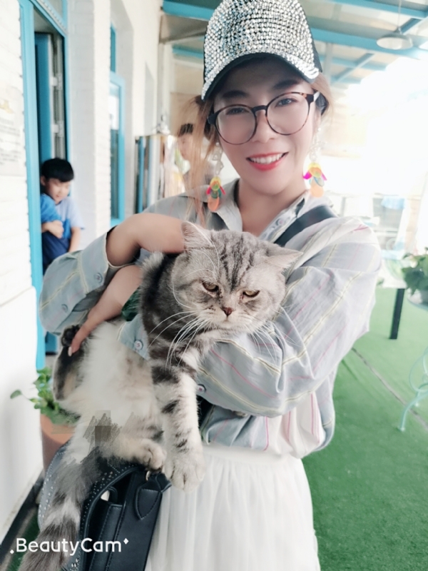 小黑猫的第一张照片--盘锦交友中心
